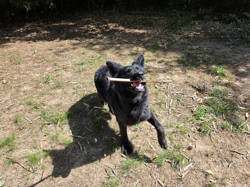 Vader photo 3
